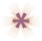 Platzhalter